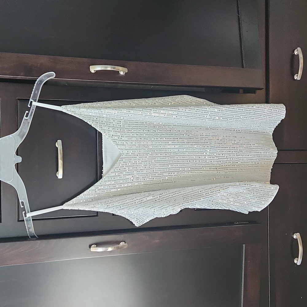 NWOT Silver Sequin Top